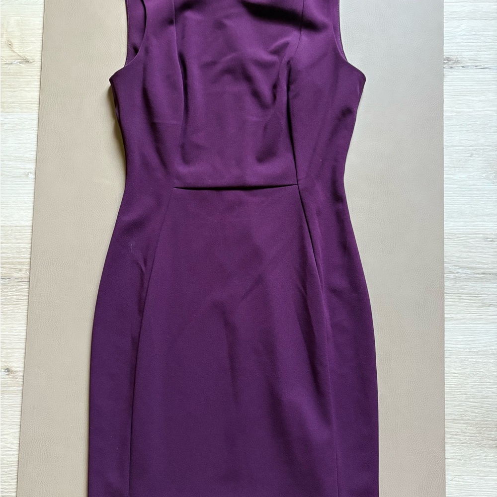 Calvin Klein Rich Purple Dress